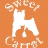 ペットサロン＆ショップSweet Carrot