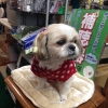 町のでんきやさん ほその