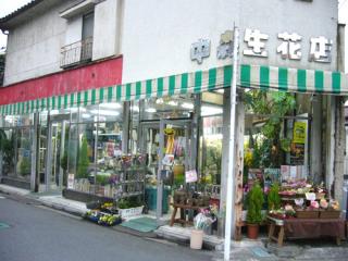 有 中森生花店 福生の生花店 アットちらし